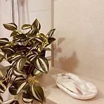 Rosa Canina, Stylish & Brand New Apartman Sarajevo