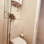 Rosa Canina, Stylish & Brand New *