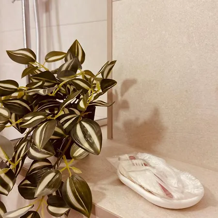 Rosa Canina, Stylish & Brand New Appartamento Sarajevo