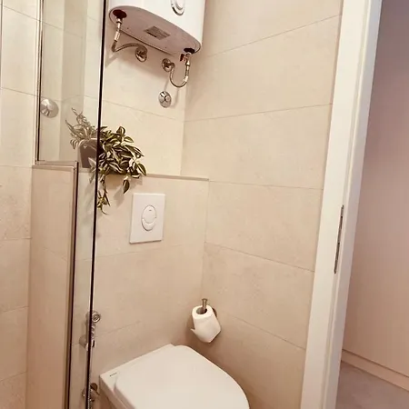 Rosa Canina, Stylish & Brand New *