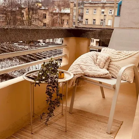 Rosa Canina, Stylish & Brand New