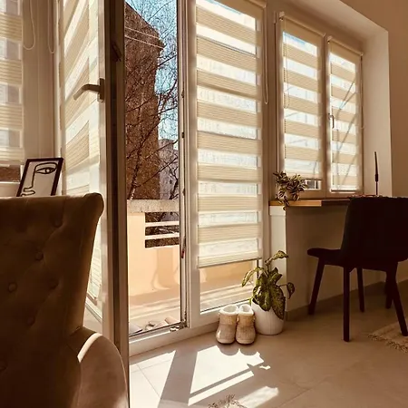 Rosa Canina, Stylish & Brand New *