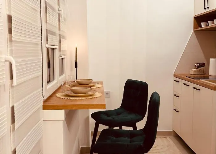 Rosa Canina, Stylish & Brand New