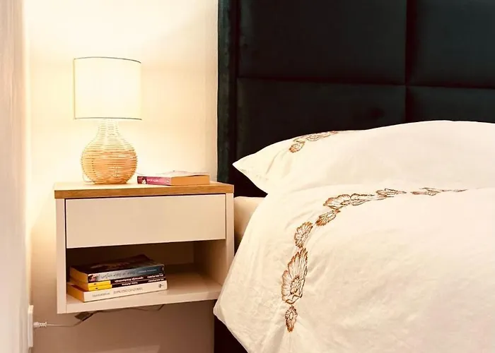 Rosa Canina, Stylish & Brand New Sarajevo