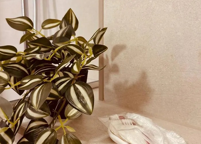 Rosa Canina, Stylish & Brand New Apartman Sarajevo