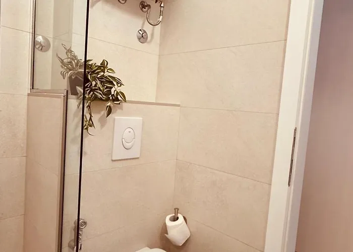 Rosa Canina, Stylish & Brand New *