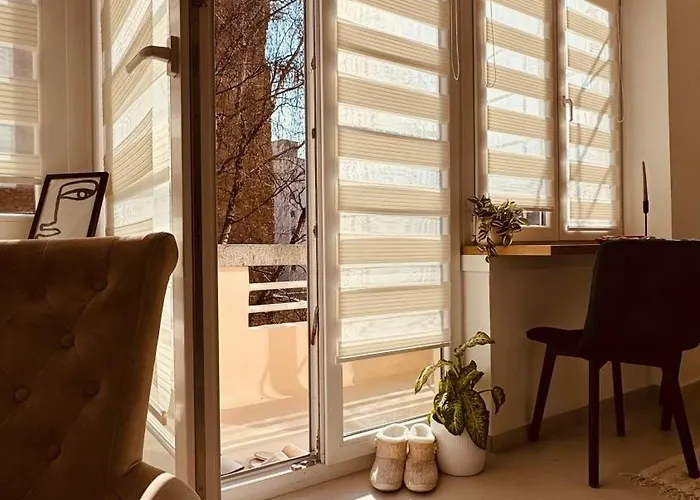 Rosa Canina, Stylish & Brand New *