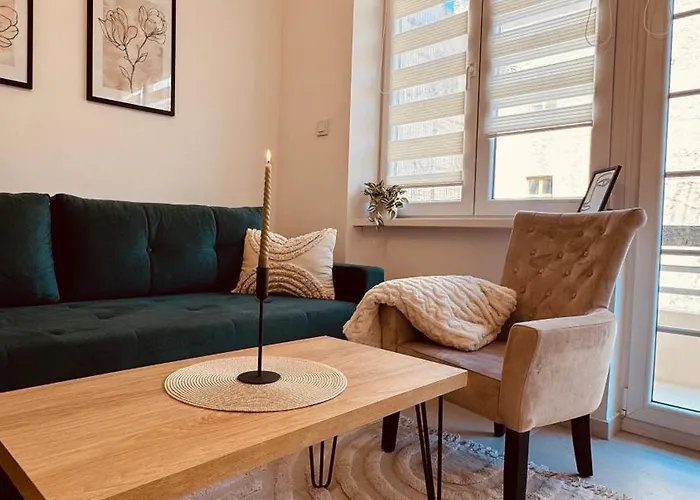 Rosa Canina, Stylish & Brand New Sarajevo