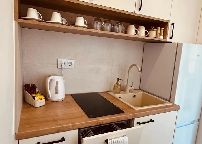 Rosa Canina, Stylish & Brand New Sarajevo