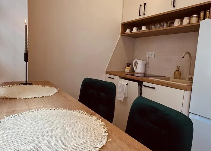 Rosa Canina, Stylish & Brand New