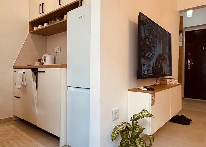 Rosa Canina, Stylish & Brand New *