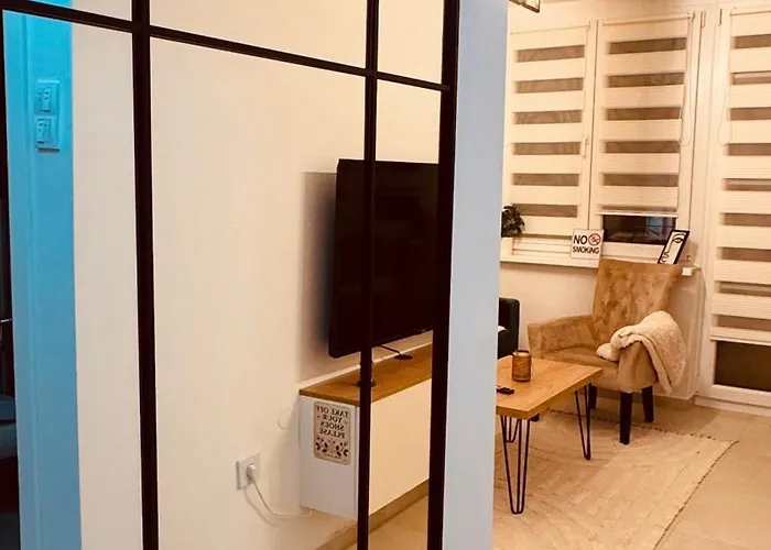 Rosa Canina, Stylish & Brand New *